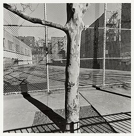 Lee Friedlander - New York City, 68009-5, Van Ham Kunstauktionen