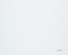 Nan Goldin - Aus James King Supermodel, 77433-20, Van Ham Kunstauktionen