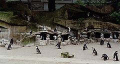 Candida Hoefer - Auktion 307 Los 1565, 47883-2, Van Ham Kunstauktionen