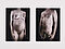 Chuck Close - Zwei Akte, 75860-12, Van Ham Kunstauktionen