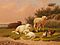 Zwei Gemälde: Ruhende Schafe und Ziegen, 81503-5, Van Ham Kunstauktionen