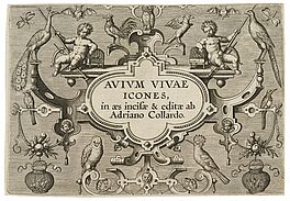Adriaen Collaert - Avium Vivae Icones in aes Hollstein 616-647, 68003-803, Van Ham Kunstauktionen