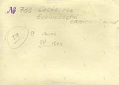 Albert Renger-Patzsch - Auktion 307 Los 1626, 48138-4, Van Ham Kunstauktionen