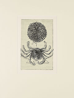 Max Ernst - Aus Max Ernst Histoire Naturelle, 73350-122, Van Ham Kunstauktionen