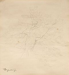 Carl Spitzweg - Baumstudie, 75390-6, Van Ham Kunstauktionen