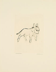 Renee Sintenis - Konvolut von 7 Radierungen, 80374-545, Van Ham Kunstauktionen