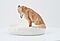 Meissen - Kleiner Fuchs auf Schale, 75074-62, Van Ham Kunstauktionen
