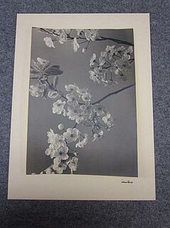 Max Baur - Auktion 312 Los 16, 49627-10, Van Ham Kunstauktionen