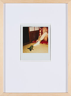 Nobuyoshi Araki - Aus Polanographs, 65941-3, Van Ham Kunstauktionen