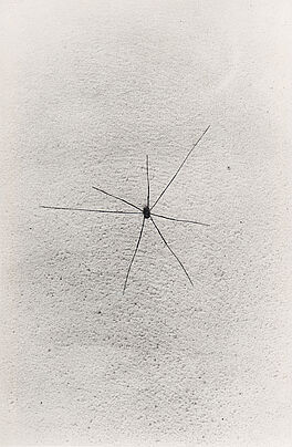 Hans Hartung - Ohne Titel Spinne-Exakte Zeit, 70132-1, Van Ham Kunstauktionen