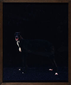 Ebru Eruelkue - Exile Wink, 68004-40, Van Ham Kunstauktionen