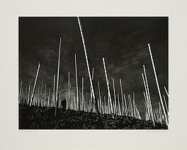 Robert Haeusser - Weinberg, 80374-187, Van Ham Kunstauktionen