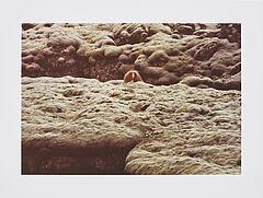 Roni Horn - Eldhraun Iceland, 75280-42, Van Ham Kunstauktionen