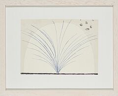 Mappenwerk - Most Wanted The Olbricht Collection Vorzugsausgabe, 68003-265, Van Ham Kunstauktionen