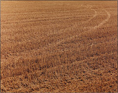 Boris Becker - Feld 1310, 81351-10, Van Ham Kunstauktionen