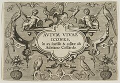 Adriaen Collaert - Avium Vivae Icones in aes Hollstein 616-647, 68003-803, Van Ham Kunstauktionen