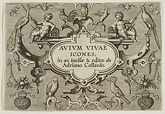 Adriaen Collaert - Avium Vivae Icones in aes Hollstein 616-647, 68003-803, Van Ham Kunstauktionen