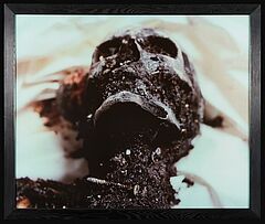 Andres Serrano - The Morgue Burnt to Death, 68004-210, Van Ham Kunstauktionen