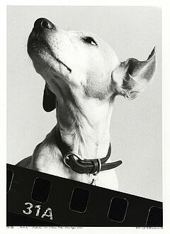 Ulrich Tillmann - Auktion 307 Los 1833, 47280-4, Van Ham Kunstauktionen