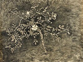 Otto Pankok - Heckenrose, 59520-9, Van Ham Kunstauktionen