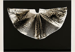 Heinz Mack - Licht- und Schattenfluegel, 65337-3, Van Ham Kunstauktionen