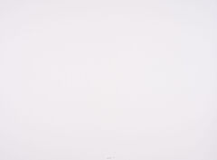 Siegward Sprotte - Seelandschaft, 76087-2, Van Ham Kunstauktionen