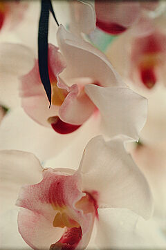 Thomas Florschuetz - Konvolut von 2 Fotografien, 80374-729, Van Ham Kunstauktionen