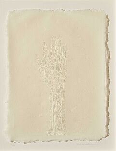 Mona Hatoum - Hand made paper, 73798-1, Van Ham Kunstauktionen