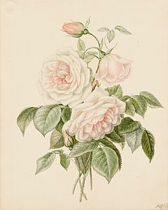 Monogrammist - Auktion 479 Los 174, 70420-20, Van Ham Kunstauktionen