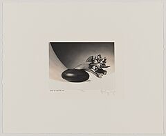 Robert Mapplethorpe - Tulips Just to Thank You, 82008-1116, Van Ham Kunstauktionen