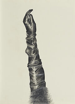 Pawel Olszczynski - untitled Womens Gloves II, 300001-3316, Van Ham Kunstauktionen