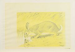 Joseph Beuys - Amerikanischer Hasenzucker, 61174-84, Van Ham Kunstauktionen