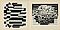 Victor Vasarely - Konvolut von 2 Druckgrafiken Aus Cinetique NB, 80374-1056, Van Ham Kunstauktionen