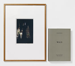 Gerhard Richter - Auktion 317 Los 416, 50813-1, Van Ham Kunstauktionen