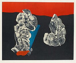 Max Ernst - Fleurs coquillages, 53396-52, Van Ham Kunstauktionen