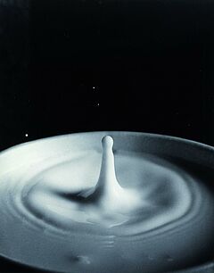 Harold E Edgerton - Auktion 301 Los 1056, 46995-1, Van Ham Kunstauktionen
