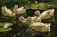 Alexander Max Koester - Enten im Seerosenteich, 63726-4, Van Ham Kunstauktionen