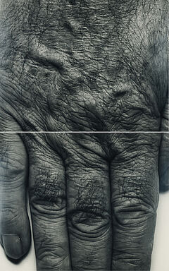 John Coplans - Self Portrait Hand two panels vertical, 80374-95, Van Ham Kunstauktionen