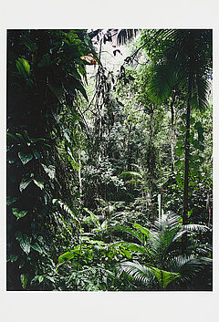 Thomas Struth - Aus Paradies, 66745-2, Van Ham Kunstauktionen