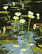 John Alexander - Vertical Lilies, 70001-661, Van Ham Kunstauktionen