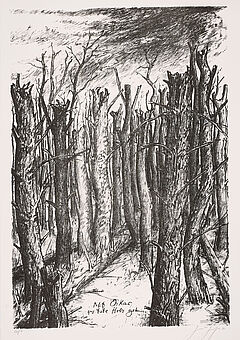 Mappenwerk - Fuer Oskar Lafontaine - Aktion fuer mehr Demokratie, 76505-40, Van Ham Kunstauktionen