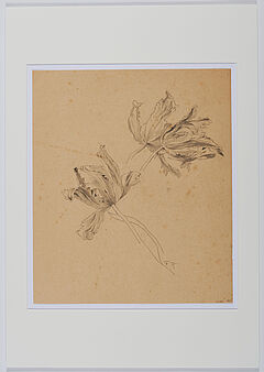 Friedrich Kallmorgen - Konvolut aus zwei Naturstudien Baumstudie Studie zu Papageientulpen, 69447-99, Van Ham Kunstauktionen