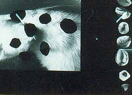 Felix Droese - Ohne Titel Scherenschnitt Nr 10, 56800-10282, Van Ham Kunstauktionen