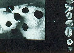 Felix Droese - Ohne Titel Scherenschnitt Nr 10, 56800-10282, Van Ham Kunstauktionen