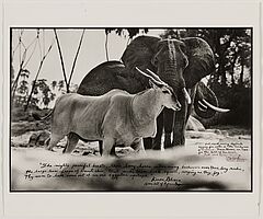 Peter Beard - Bull Eland Passing Elephants Digging for Water in the Tiva Dry River, 82008-1202, Van Ham Kunstauktionen
