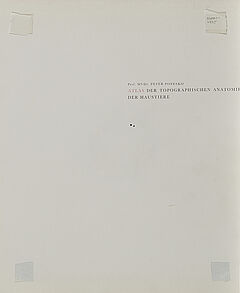 Markus Uhr - Kreis, 300001-4805, Van Ham Kunstauktionen