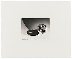 Robert Mapplethorpe - Tulips Just to Thank You, 82008-1116, Van Ham Kunstauktionen