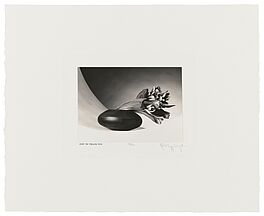 Robert Mapplethorpe - Tulips Just to Thank You, 82008-1116, Van Ham Kunstauktionen