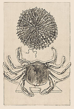 Max Ernst - Auktion 317 Los 567, 50165-4, Van Ham Kunstauktionen