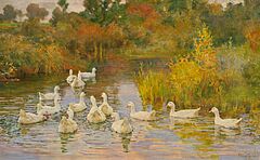 Franz Gräßel - Weiße Entenschar im sonnendurchfluteten Teich, 81514-1, Van Ham Kunstauktionen